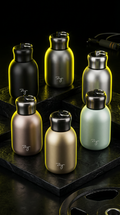 Compact Insulated Bottle